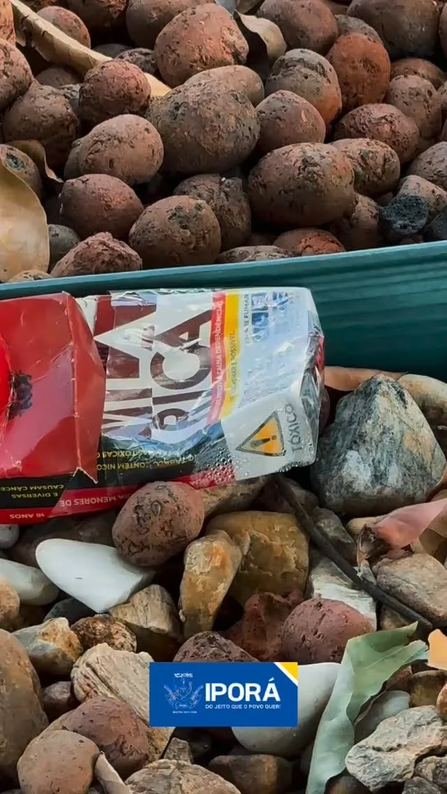 O Lago Pôr do Sol é um dos cartões-postais de Iporá. Nos últimos dias, a Secretaria de Meio Ambiente realizou uma revitalização completa no espaço: novo paisagismo, pintura, organização, plantio de flores e cuidados que deixaram o lago ainda mais bonito para todas as famílias iporaenses.  Mas infelizmente, recebemos a notícia de que parte desse trabalho foi destruído. Plantas foram arrancadas e furtadas, o jardim foi pisoteado e muito lixo foi espalhado pelo local. É triste ver um patrimônio da nossa cidade ser danificado dessa forma, tão pouco tempo depois de receber tanto cuidado.  A gestão municipal tem compromisso com cada espaço público de Iporá — mas cuidar da cidade é um dever de todos. Por isso, reforçamos o pedido da Secretaria de Meio Ambiente: Preserve. Respeite. Ajude a cuidar. O Lago Pôr do Sol é de toda a população, e cada gesto de responsabilidade faz diferença.  Vamos juntos manter Iporá mais bonita, organizada e acolhedora.  #ASecDeMeioAmbienteTrabalha #PrefeituraDeIporá #IporáGO LagoPôrDoSol CuidarÉDeTodos IporáMaisLinda